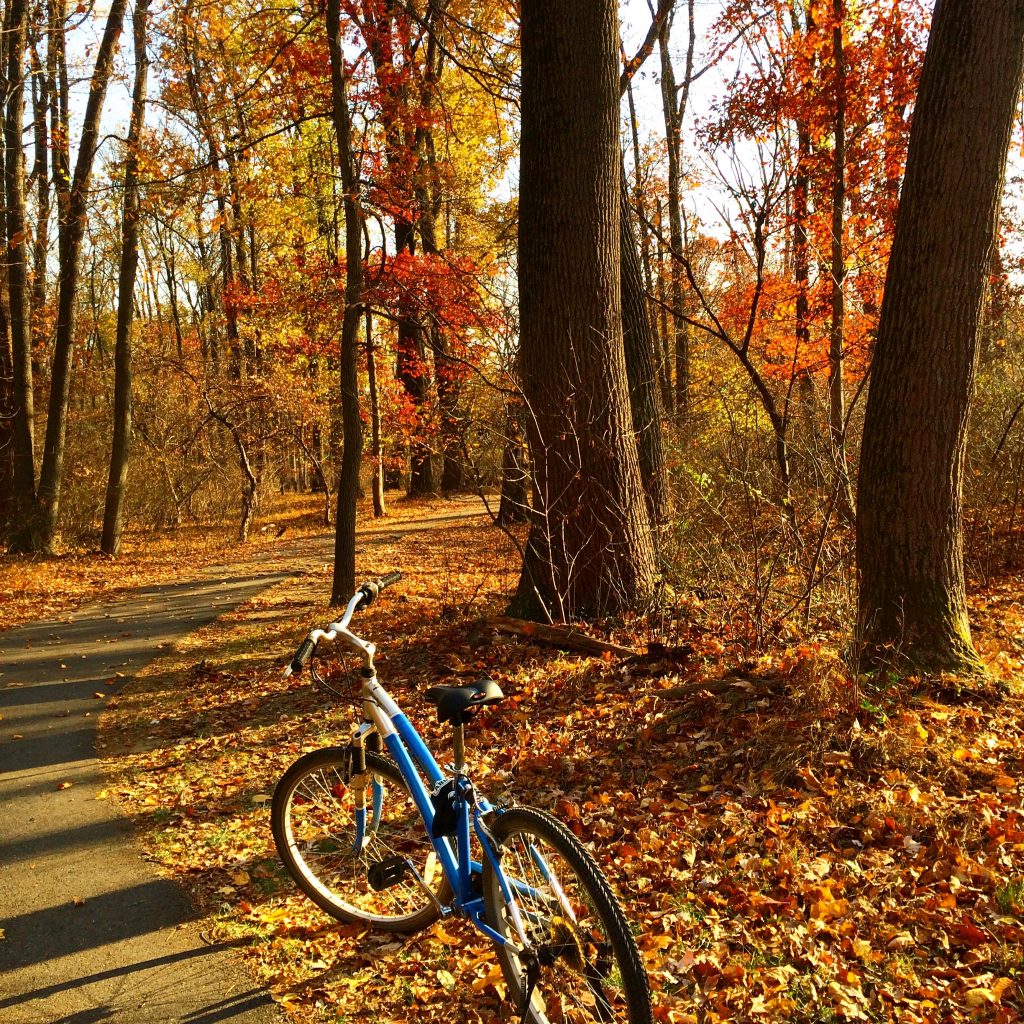 A blue bicycle parked in a fall wood near a bicycle path.